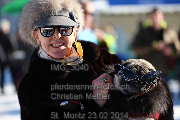 IMG 3040 prot